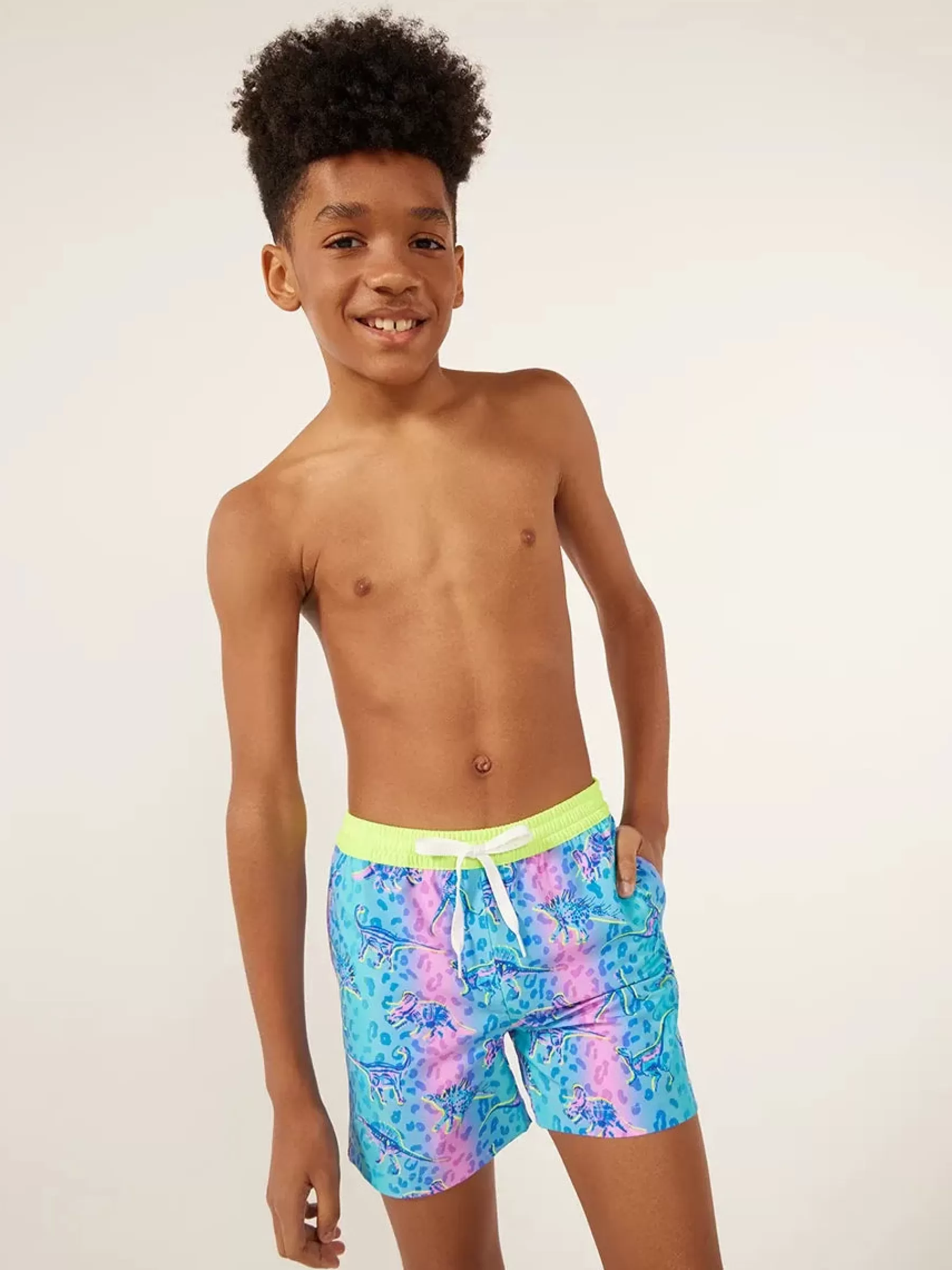 Chubbies Shorts Swim Trunks | Swim>The Dino Delights Blue/PinkDinosaur