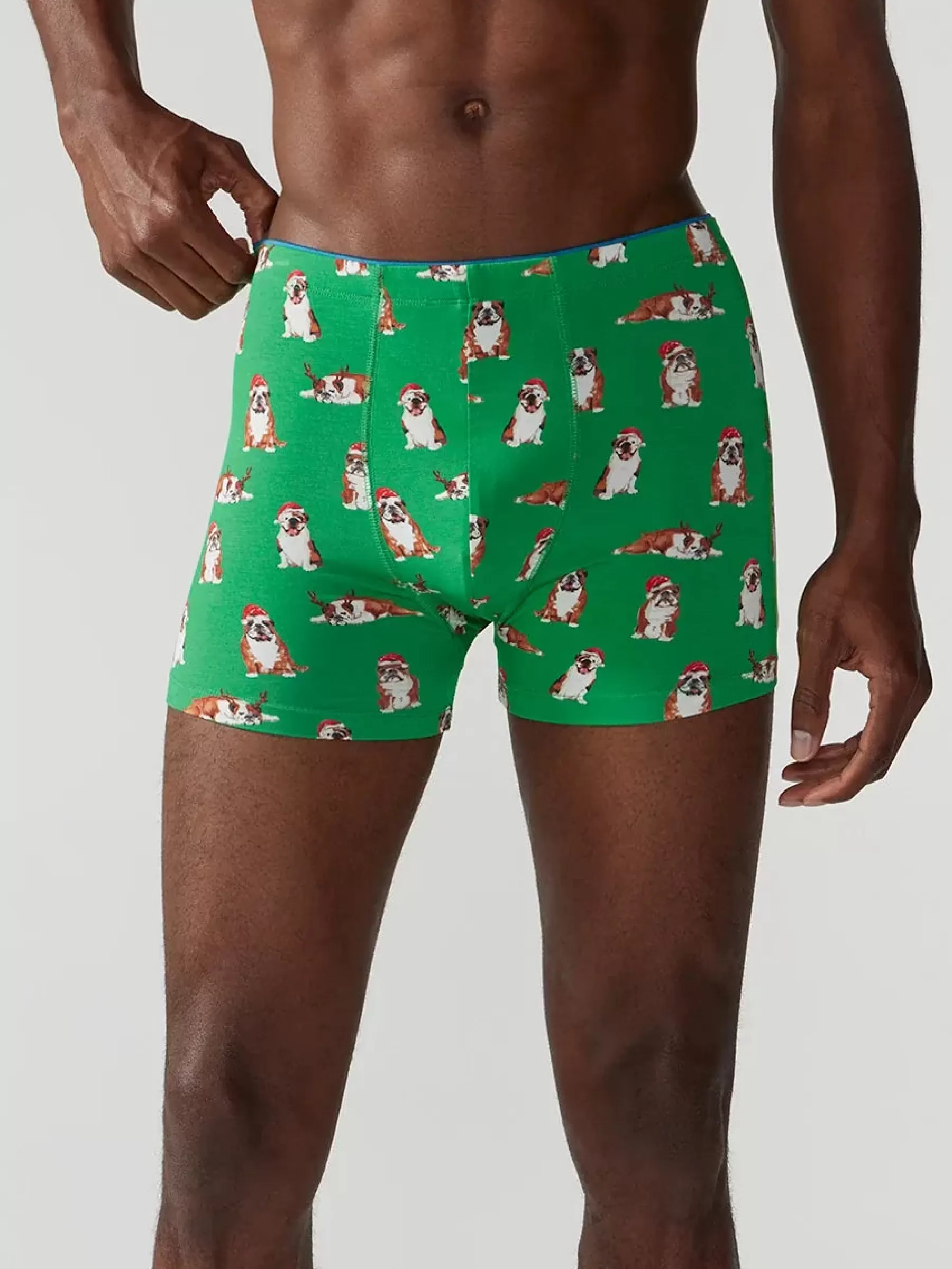 Chubbies Shorts Shop By Styles | Underwear>The Frankies GreenHolidayBulldog