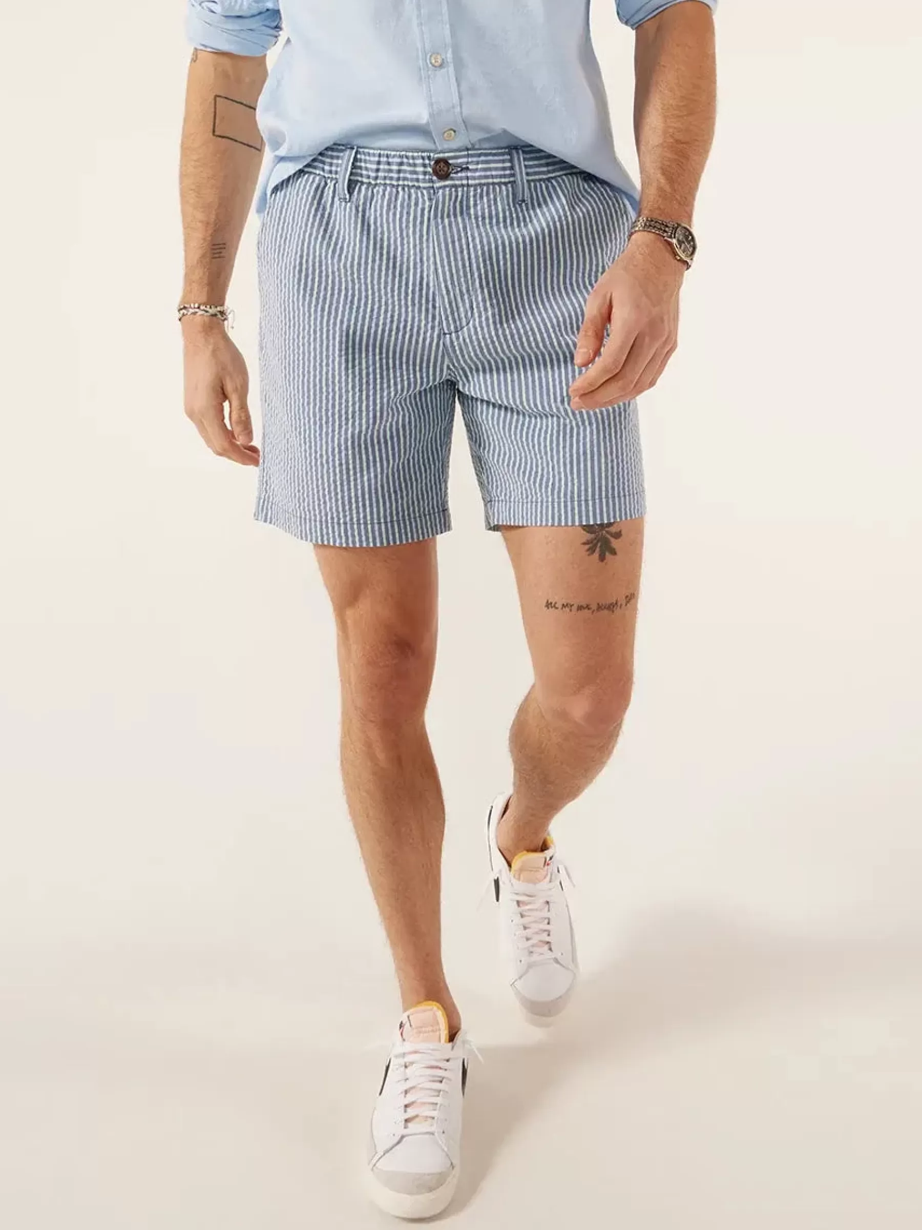 Chubbies Shorts Originals Shorts Collection>The High Hammocks PastelGreen/BlueStripe