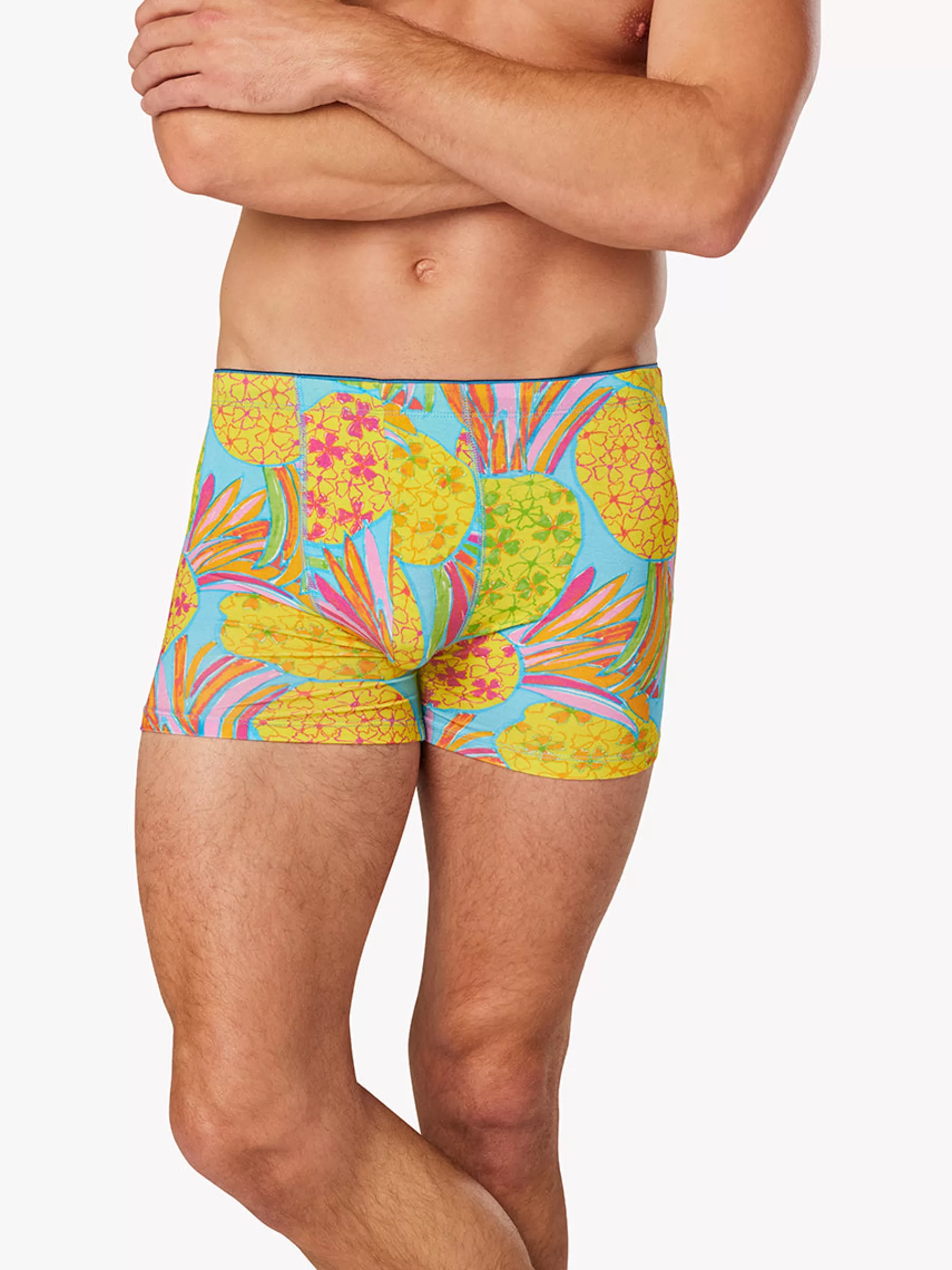 Chubbies Shorts Shop By Styles | Underwear>The Hooligans LightBluePineapple