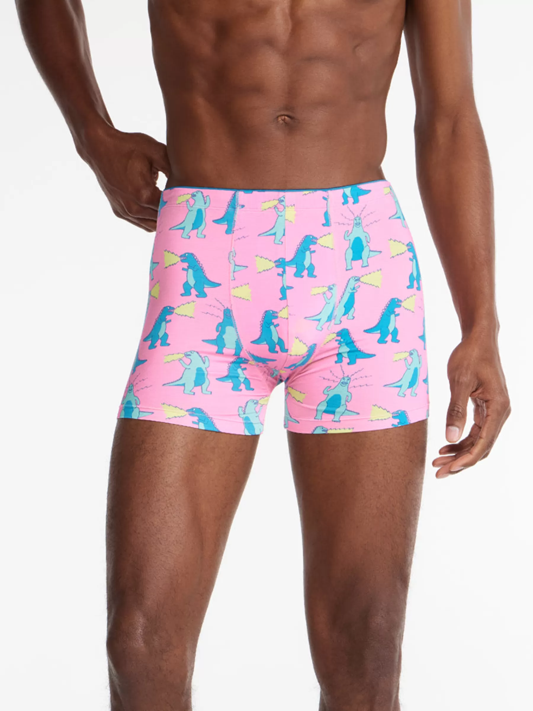 Chubbies Shorts Shop By Styles | Underwear>The Roaring Dinos BrightPinkDinosaur