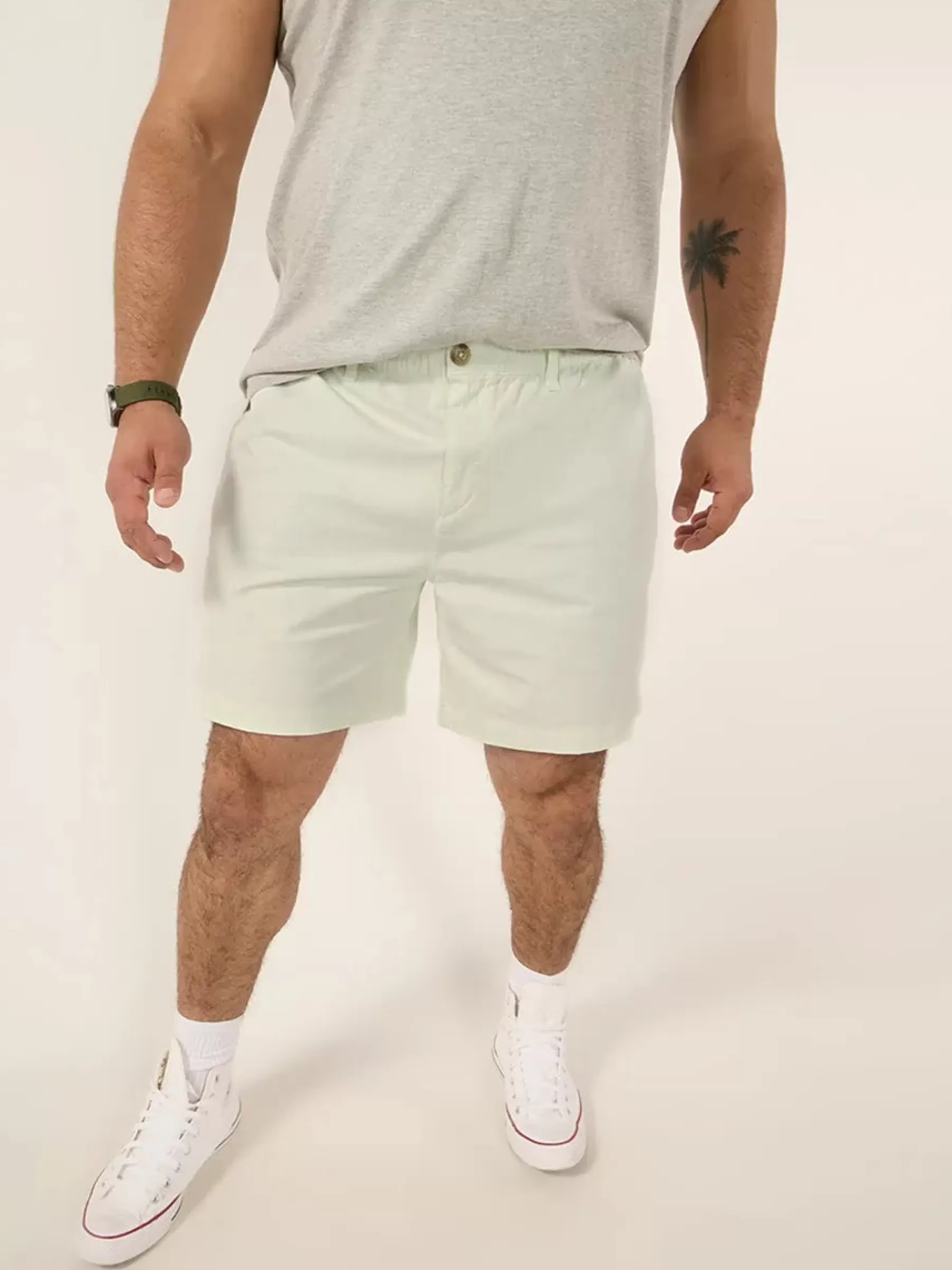 Chubbies Shorts Originals Shorts Collection>The Sea Foams VintageWashedGreen