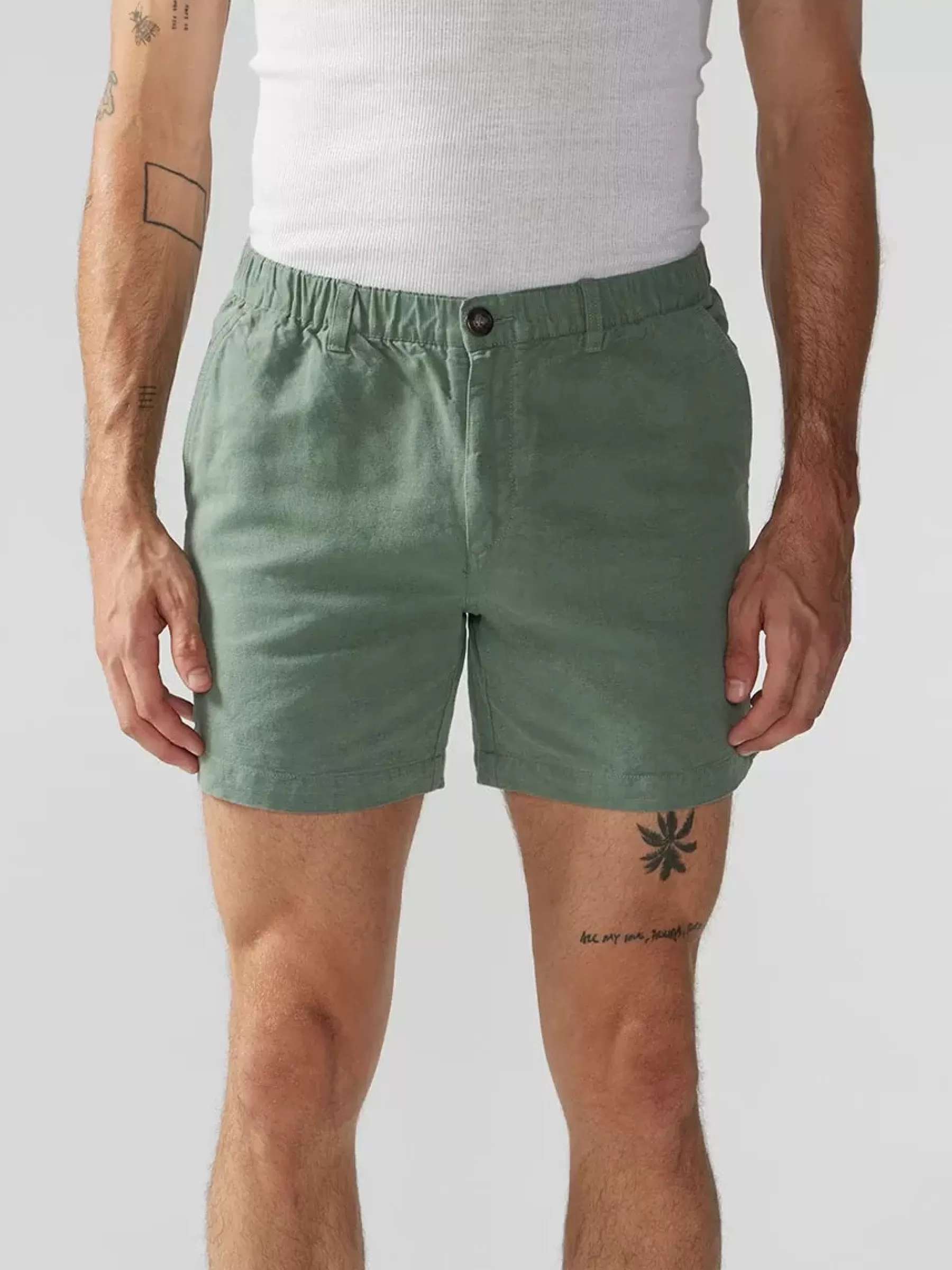 Chubbies Shorts Originals Shorts Collection>The Seekers SageGreen