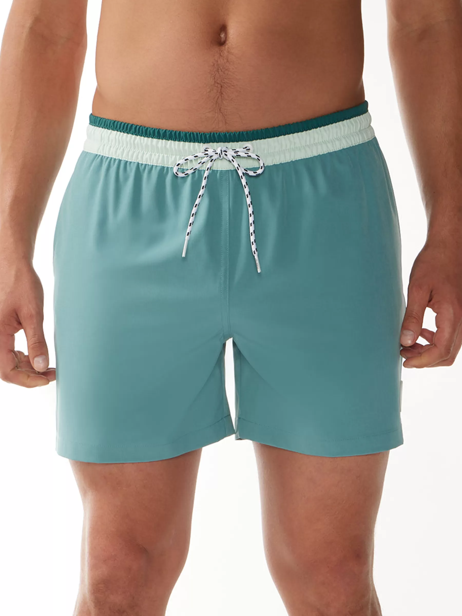 Chubbies Shorts Classic Swim Trunks | Classic Swim Trunks>The Teal Breakers DustyAqua